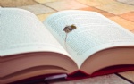 books, magazine